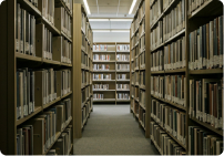 Gallery 2
